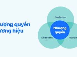 Chi phí nhượng quyền Damu và những cách liên hệ